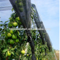 apple orchard hail net system